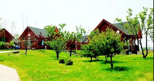 1561450279310861.jpg 微信图片_20190625160946.jpg