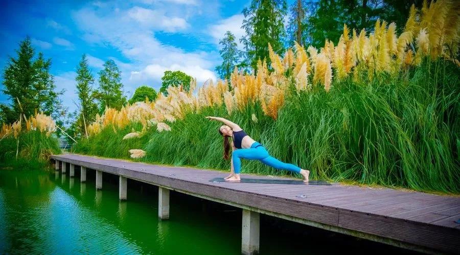 1561453180117252.jpg 微信图片_20190625165826.jpg