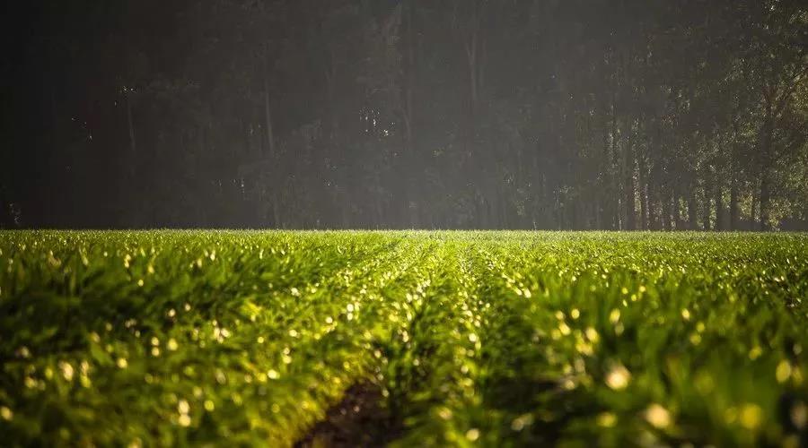 1561453191681666.jpg 微信图片_20190625165829.jpg