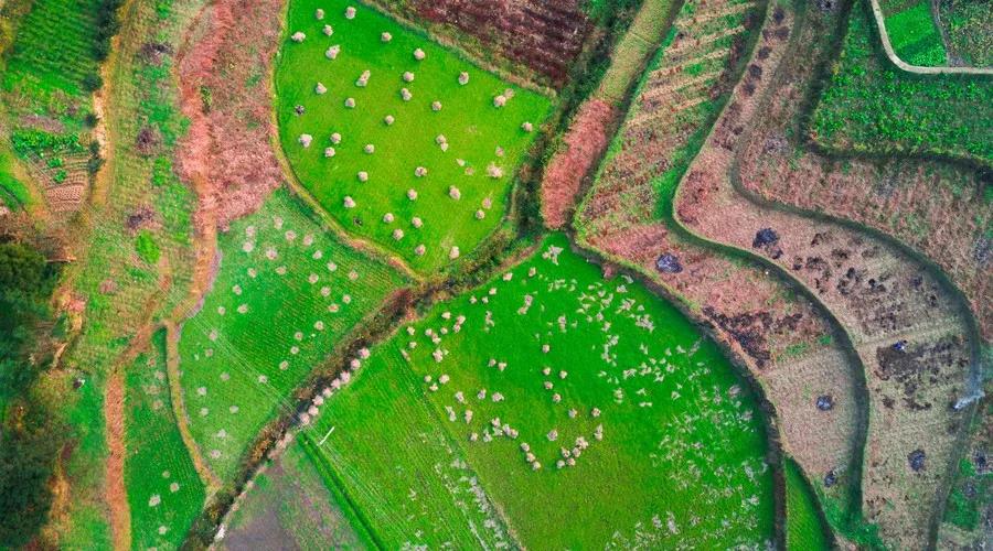 1561453199982286.jpg 微信图片_20190625165832.jpg