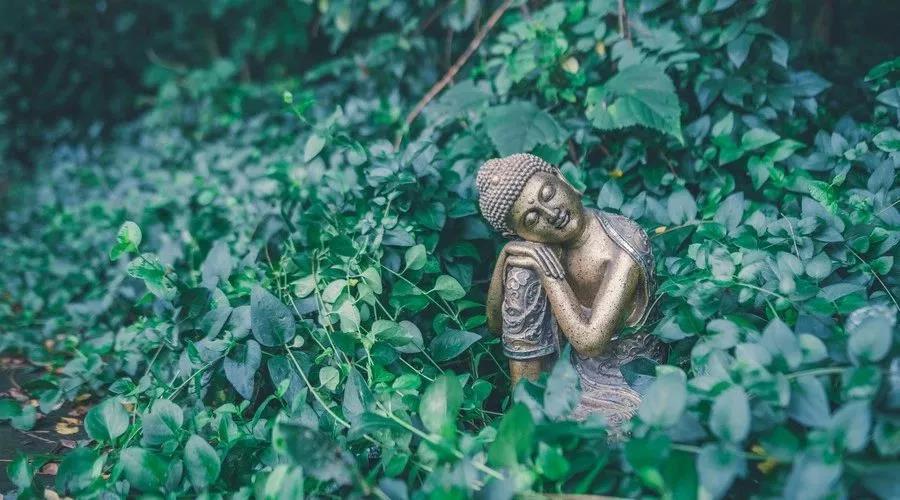 1561453240134715.jpg 微信图片_20190625165841.jpg