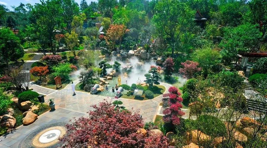 1561453304927033.jpg 微信图片_20190625165852.jpg