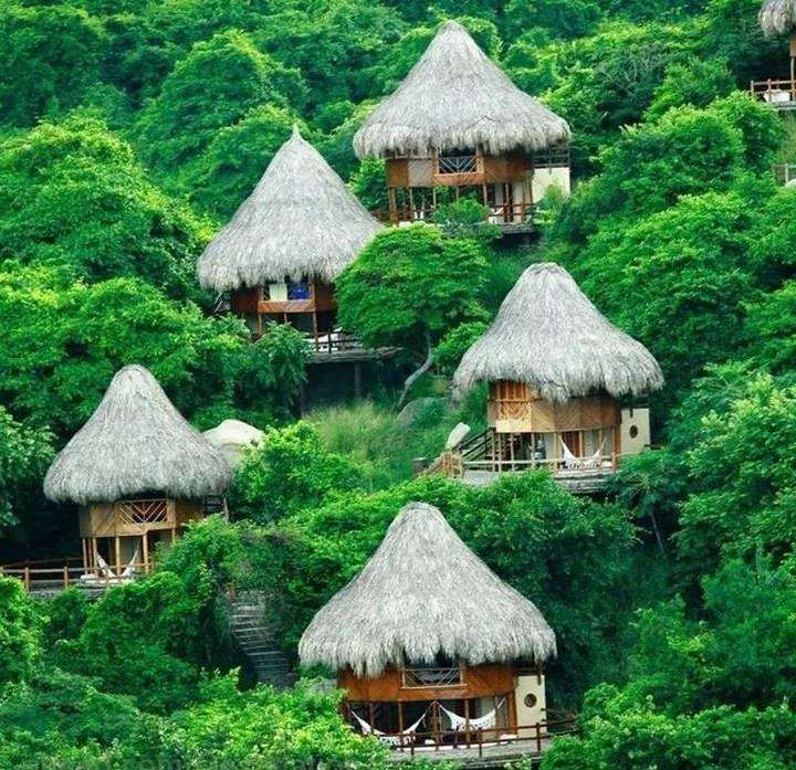 1561710542899579.jpg 微信图片_20190628162228.jpg