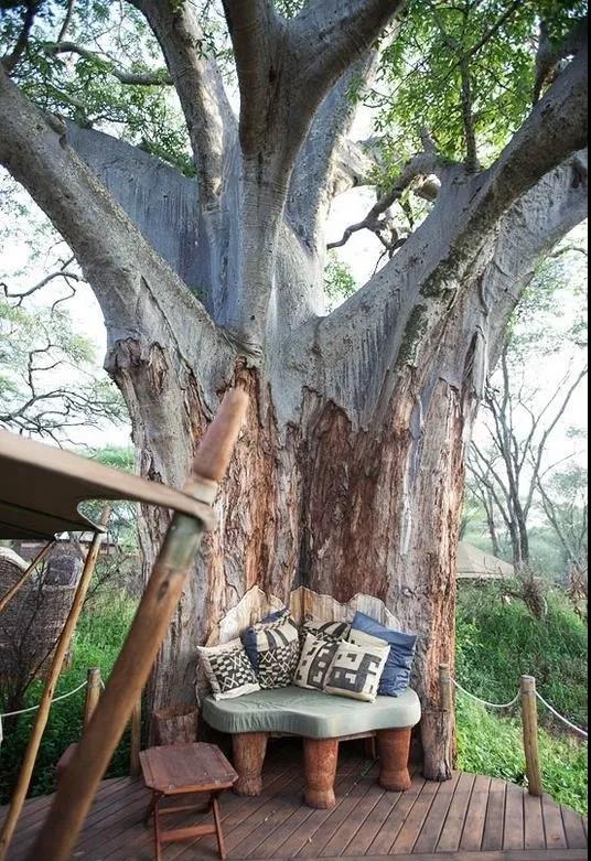 1561710809798454.jpg 微信图片_20190628162309.jpg