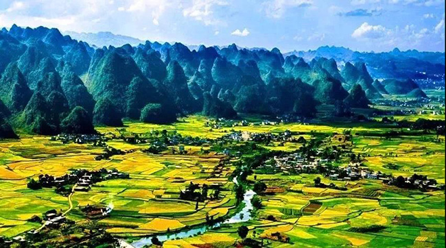 1562402241799616.jpg 111.jpg