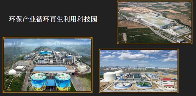 1562746419419258.jpg 3.jpg