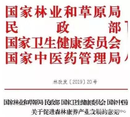 1572484603963997.jpg 微信图片_20191031091551.jpg