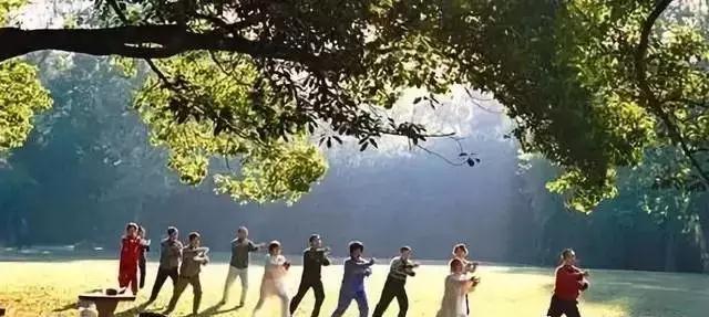 1572485923992312.jpg 微信图片_20191031093827.jpg