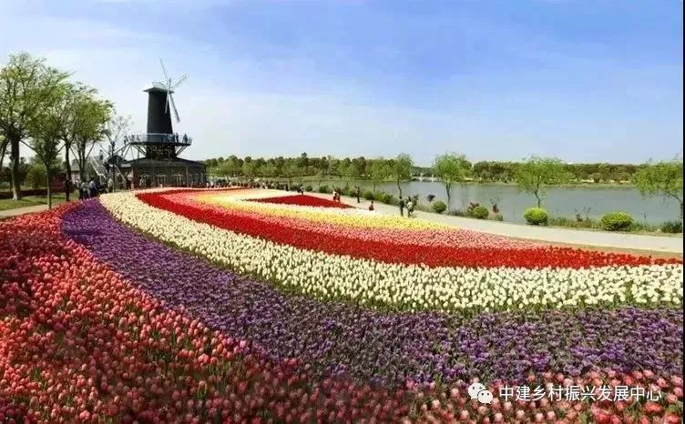 1572489611156592.jpg 微信图片_20191031103956.jpg