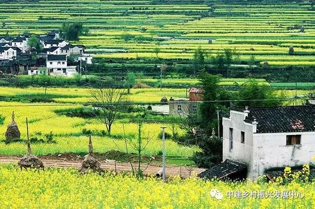 1572492267367964.jpg 微信图片_20191031112418.jpg