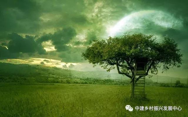 1572492541129555.jpg 微信图片_20191031112847.jpg