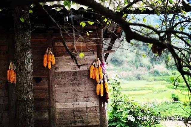 1572931055113375.jpg 0000.jpg