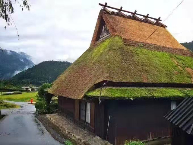 1573636717761275.jpg 10.jpg