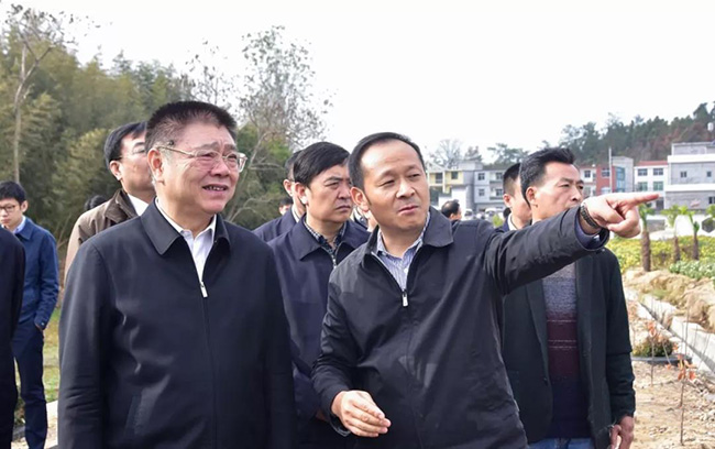 1574471060391890.jpg 2.jpg