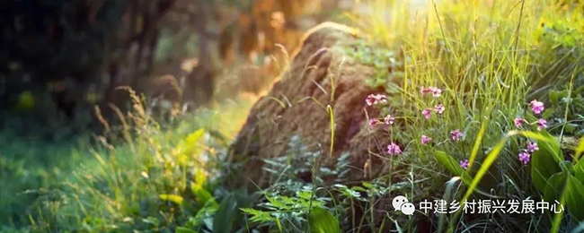 1579224066332506.jpg 3.jpg