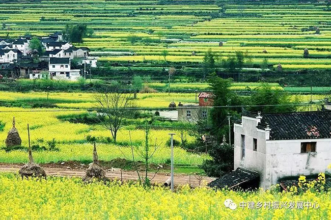 1579224091312281.jpg 4.jpg