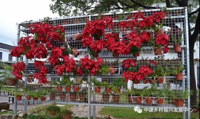 1579224996134074.jpg 2.jpg