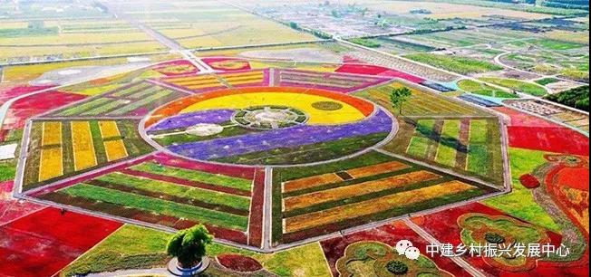 1579225015980048.jpg 3.jpg