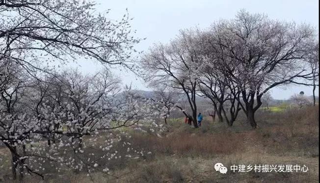 1579225034117670.jpg 4.jpg