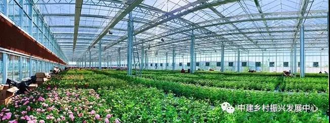 1579225144104885.jpg 7.jpg