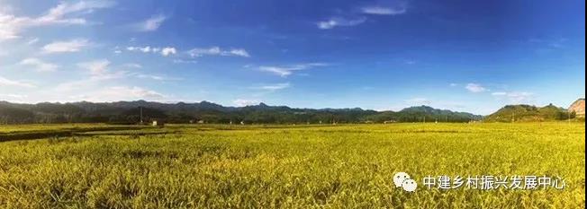 1579225166373515.jpg 8.jpg