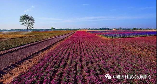 1579225180128316.jpg 9.jpg