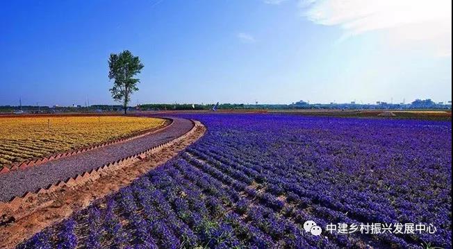 1579225199985858.jpg 10.jpg