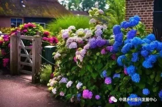 1579227695120144.jpg 2.jpg