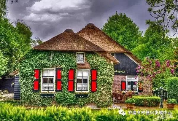 1579227717748322.jpg 3.jpg