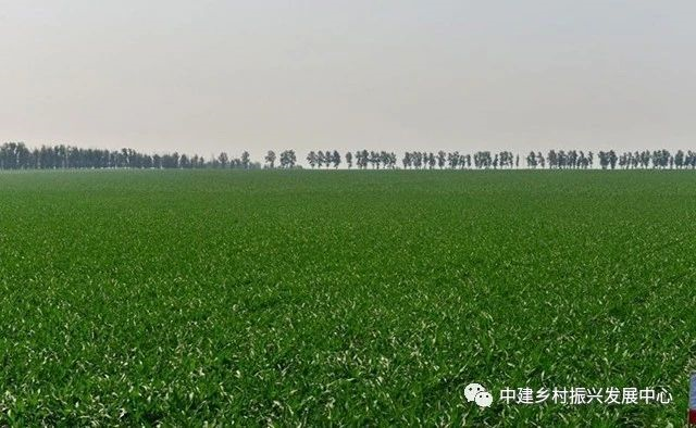 1586919814722331.png image.png