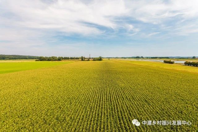 1586919820419387.png image.png