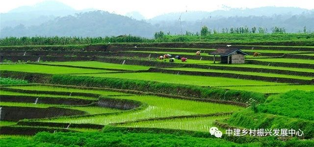 1586919827816183.png image.png