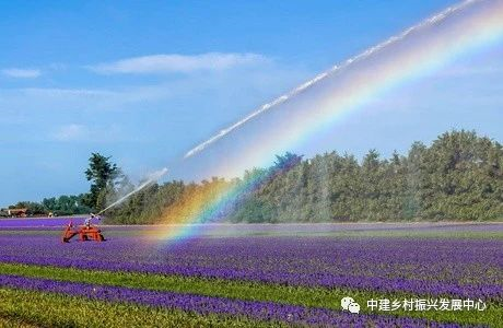 1586919838530237.png image.png