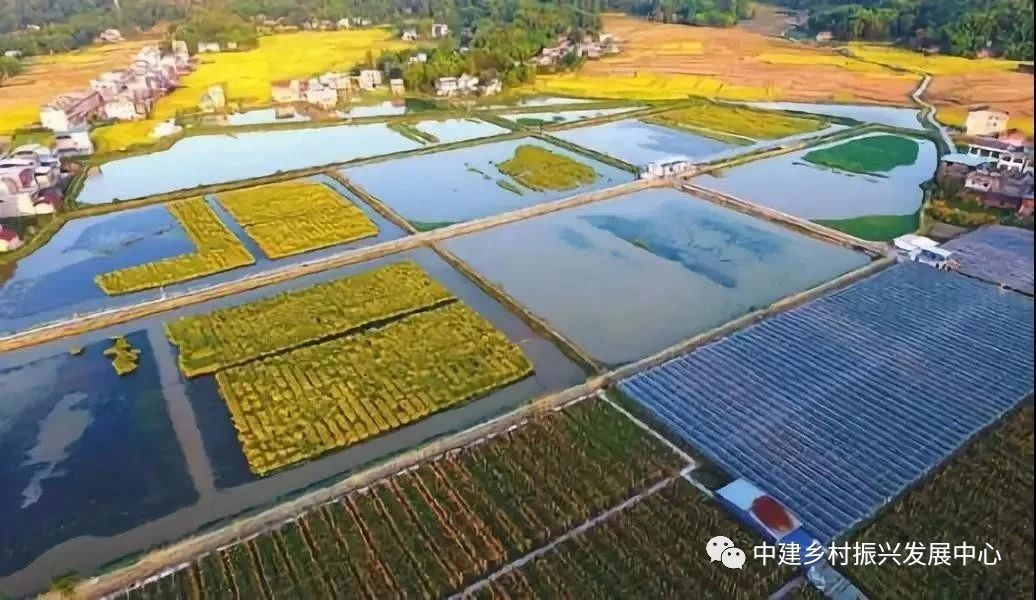 1586920960929056.png image.png