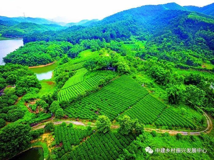 1586920967841916.png image.png