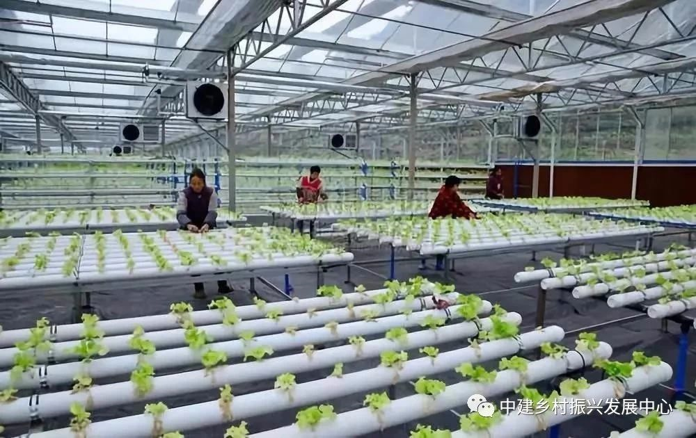 1586920993912574.png image.png