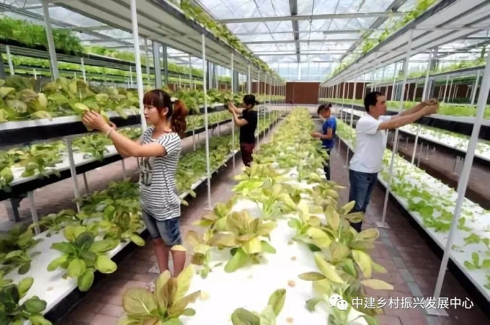 1586921012137404.png image.png