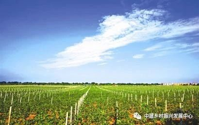 1586921017118651.png image.png