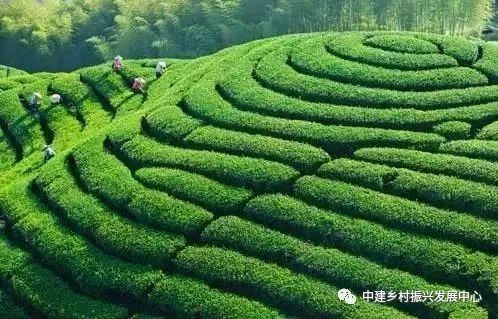 1586921023438579.png image.png