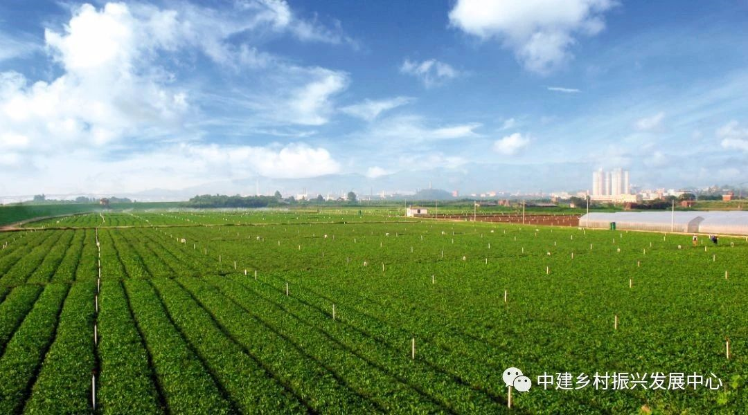 1586921036769408.png image.png