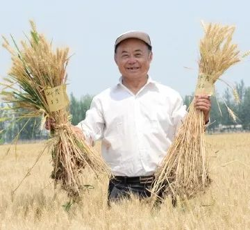 1668156145284917.png 图片1.png