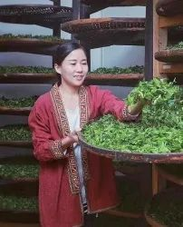 1668156533662541.png 图片7.png