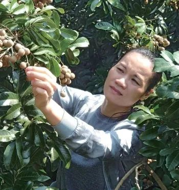 1668156695353489.png 图片8.png