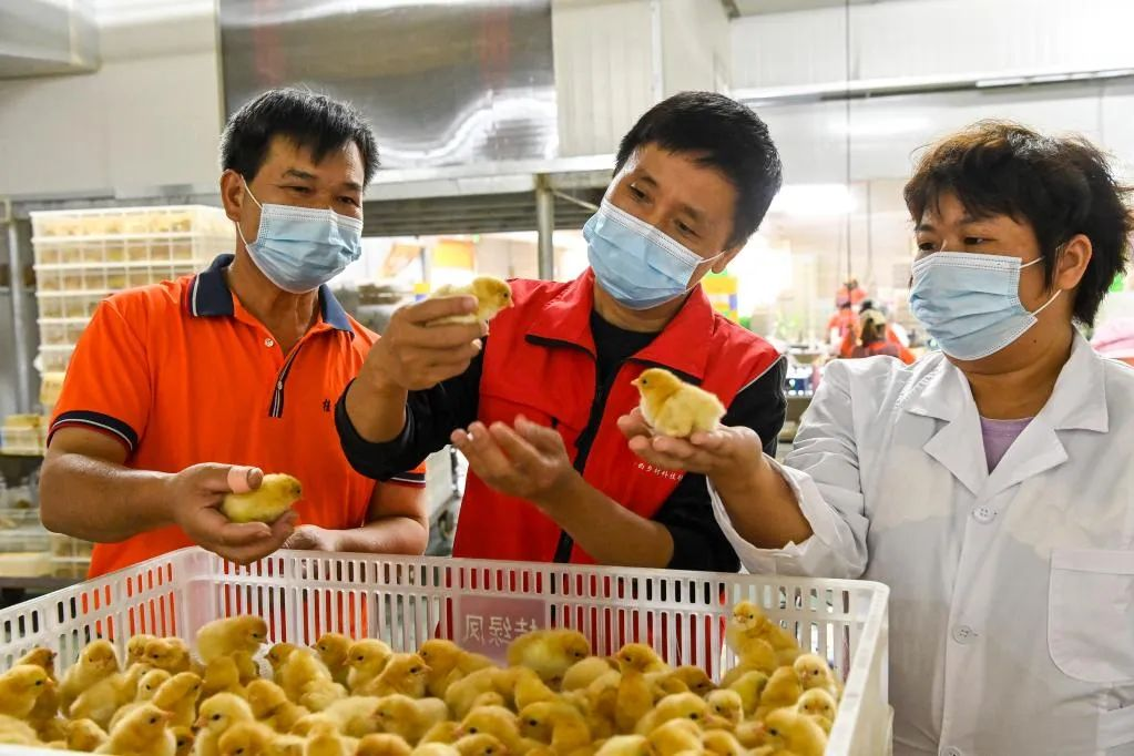 1670226315838459.png 图片1.png