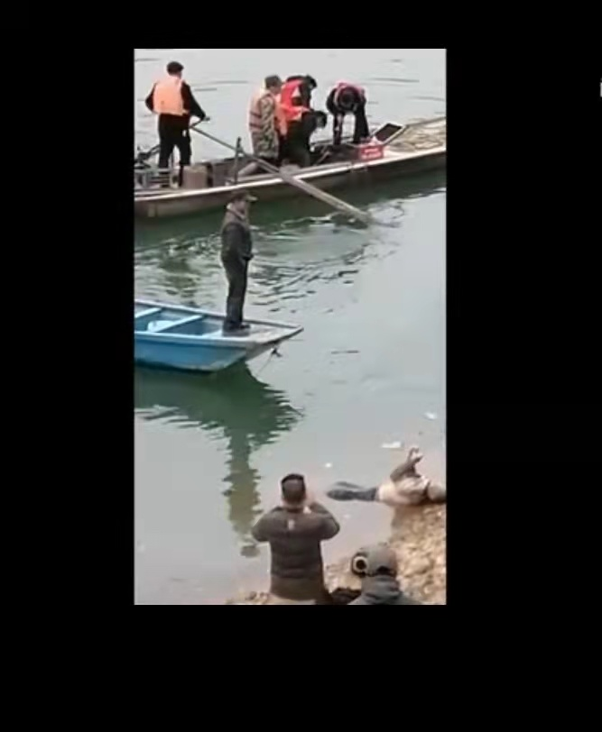 1671002083184161.png 图片12.png