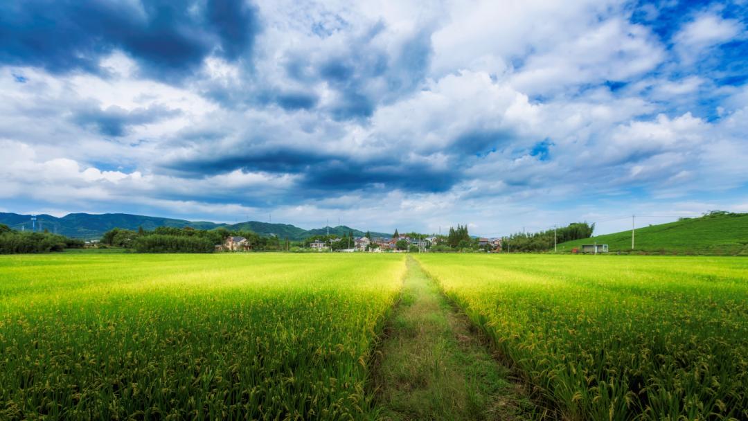 1671069942783974.jpg 图片5.jpg