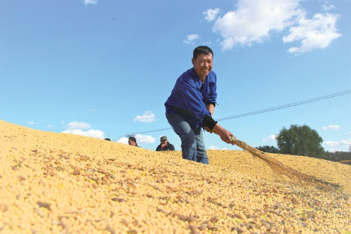 1672801064232545.jpg 20230104_006_05_75218.jpg