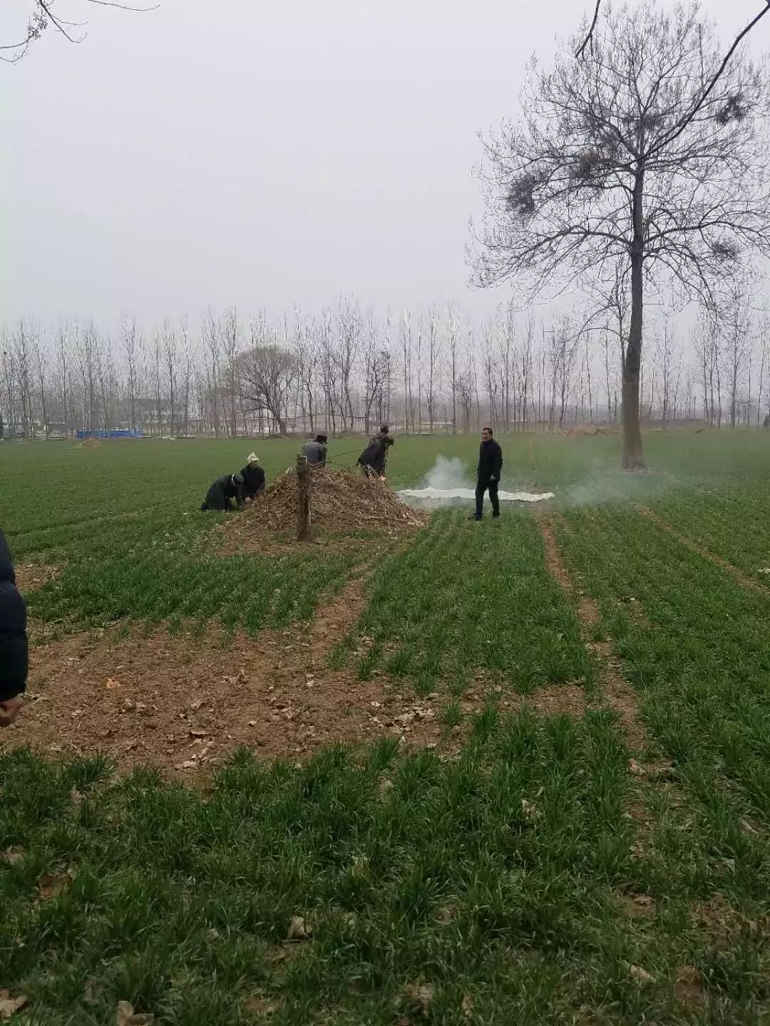 1674618008128621.jpg 微信图片_20230125113948.jpg