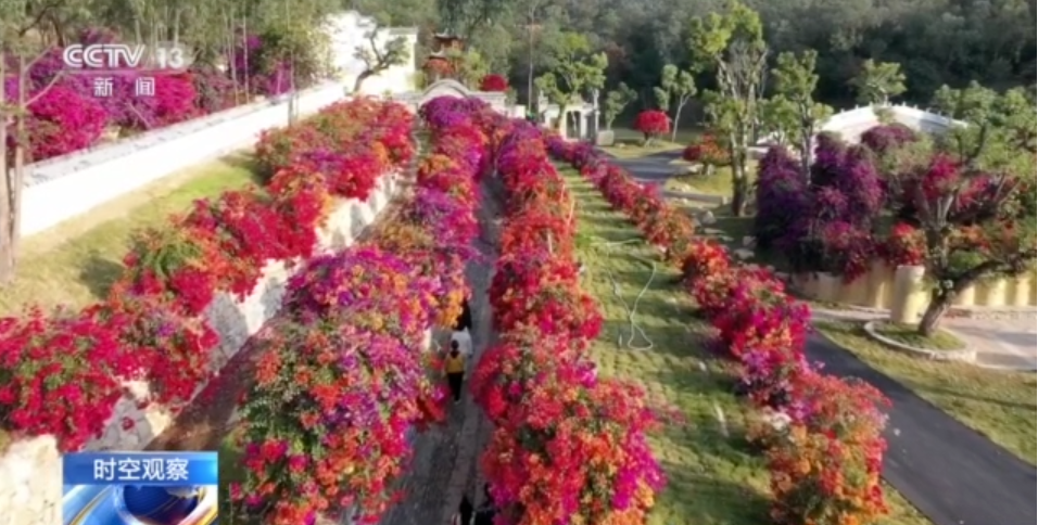 1677036617112754.png image.png