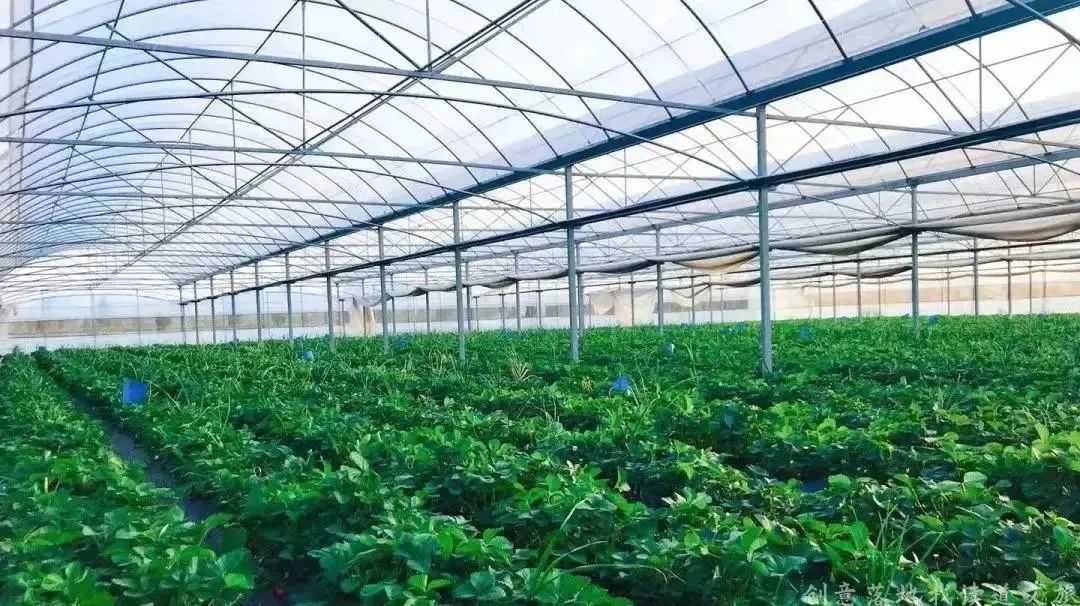 1678757886984283.jpg 西道村2.jpg